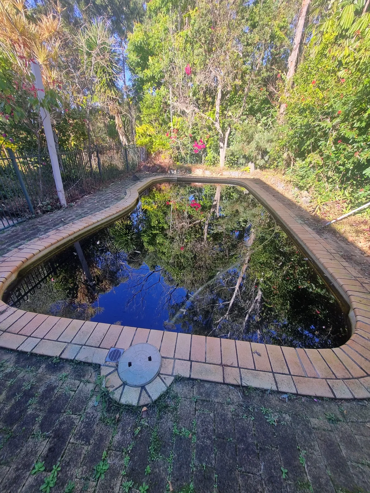 Pool surround before pressure cleaning — algae and grime buildup on concrete and brick coping, Nerang